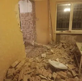 ხეების მოჭრა / ეზოების გასუფთავება / სამშენებლო ნარჩენების გატანა / ავეჯის გადაზიდვა / დემონტაჟი