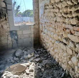 ხეების მოჭრა / ეზოების გასუფთავება / სამშენებლო ნარჩენების გატანა / ავეჯის გადაზიდვა / დემონტაჟი