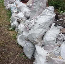 ხეების მოჭრა / ეზოების გასუფთავება / სამშენებლო ნარჩენების გატანა / ავეჯის გადაზიდვა / დემონტაჟი