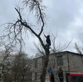 ხეების მოჭრა / ეზოების გასუფთავება / სამშენებლო ნარჩენების გატანა / ავეჯის გადაზიდვა / დემონტაჟი