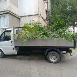 ხეების მოჭრა / ეზოების გასუფთავება / სამშენებლო ნარჩენების გატანა / ავეჯის გადაზიდვა / დემონტაჟი