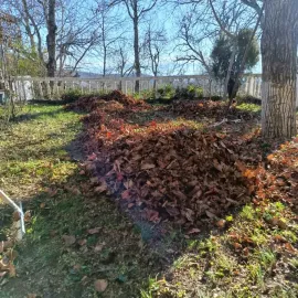 ხეების მოჭრა / ეზოების გასუფთავება / სამშენებლო ნარჩენების გატანა / ავეჯის გადაზიდვა / დემონტაჟი