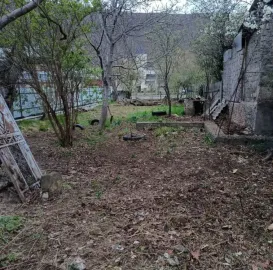ხეების მოჭრა / ეზოების გასუფთავება / სამშენებლო ნარჩენების გატანა / ავეჯის გადაზიდვა / დემონტაჟი