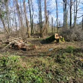 ხეების მოჭრა / ეზოების გასუფთავება / სამშენებლო ნარჩენების გატანა / ავეჯის გადაზიდვა / დემონტაჟი