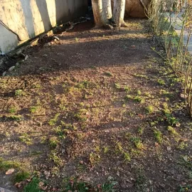 ეზოების გასუფთავება