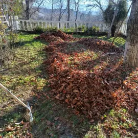სამშენებლო ნარჩენების გატანა / ავეჯის გადაზიდვა / დემონტაჟი