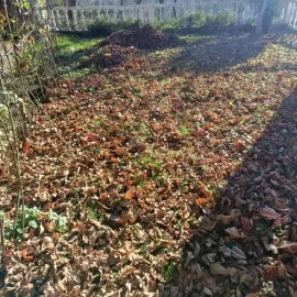 სამშენებლო ნარჩენების გატანა / ავეჯის გადაზიდვა / დემონტაჟი