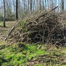 სამშენებლო ნარჩენების გატანა / ავეჯის გადაზიდვა / დემონტაჟი