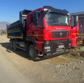 თვითმცლელებით მომსახურეობა