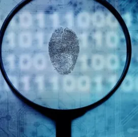 კერძო დეტექტივი