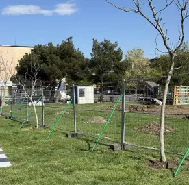 ჯებირები ბადისებრი ღობეები