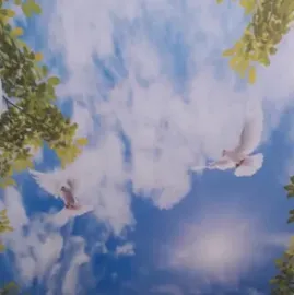 Barisolis montaji tbilishi - 591004680 