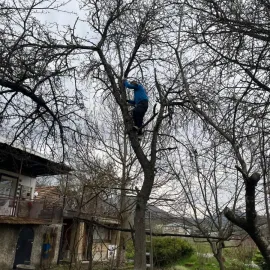 დემონტაჟი