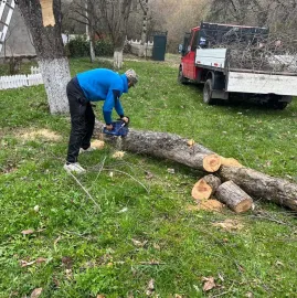 დემონტაჟი