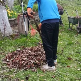 მიწის მოჭრა / დამეშოკება