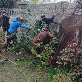 მიწის მოჭრა / დამეშოკება