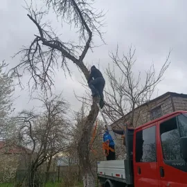 სამშენებლო ნაგვის გატანა / კედლების დანგრევა / მოწესრიგება
