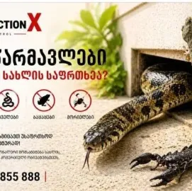 Disinfection X • სადეზინფექციო X