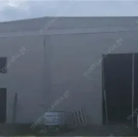 მშენებელი