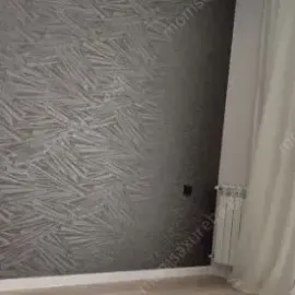 სამღებრო და დეკორატიული ლესვა