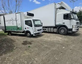 ტვირთის გადაზიდვა გადატანა
