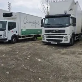 ტვირთის გადაზიდვა გადატანა