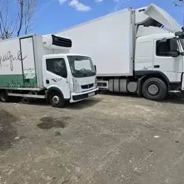 ტვირთის გადაზიდვა გადატანა