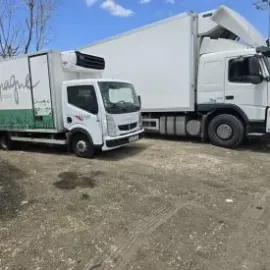 ტვირთის გადაზიდვა გადატანა