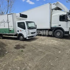 ტვირთის გადაზიდვა გადატანა