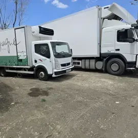 ტვირთის გადაზიდვა გადატანა