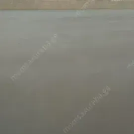 სტიაშკა