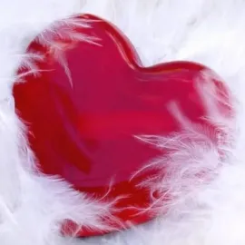 ბალიშების განახლება