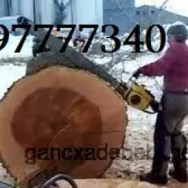ხის მოჭრა საკუთარ ეზოში - 597 777 340