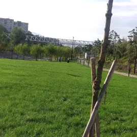 Babylon Garden