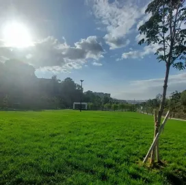 Babylon Garden