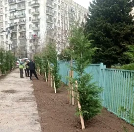 Babylon Garden
