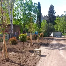 Babylon Garden