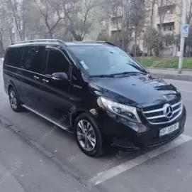 მინივენით მომსახურება