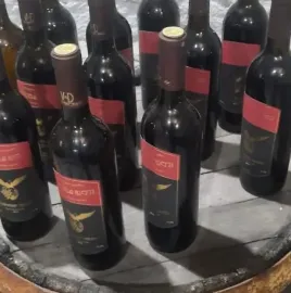 კოტეჯები - დოღურაშის ხეობა