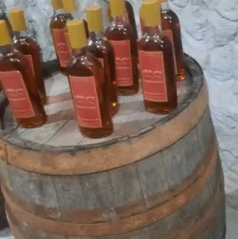 კოტეჯები - დოღურაშის ხეობა