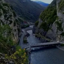 კოტეჯები - დოღურაშის ხეობა