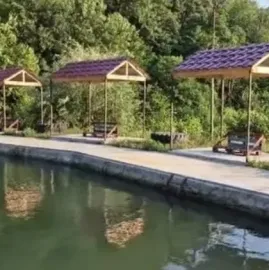 კოტეჯები - დოღურაშის ხეობა