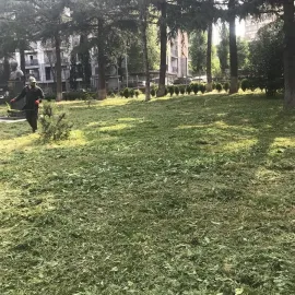 ბალხის გათიბვა 1კვ 90თეთრი