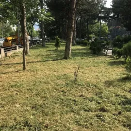 ბალხის გათიბვა 1კვ 90თეთრი