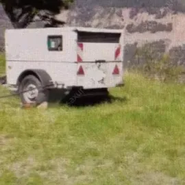 კომპრესორები