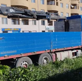 ამწე მანიპულატორი