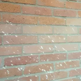 VNG ჯგუფი
