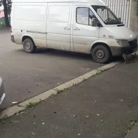 სატვირთო მარშუტკის გაქირავება მძღოლით