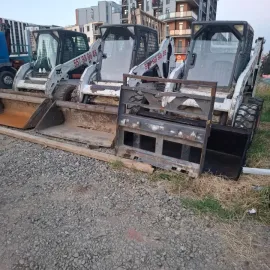 ბობკატები
