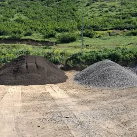 ბობკატები